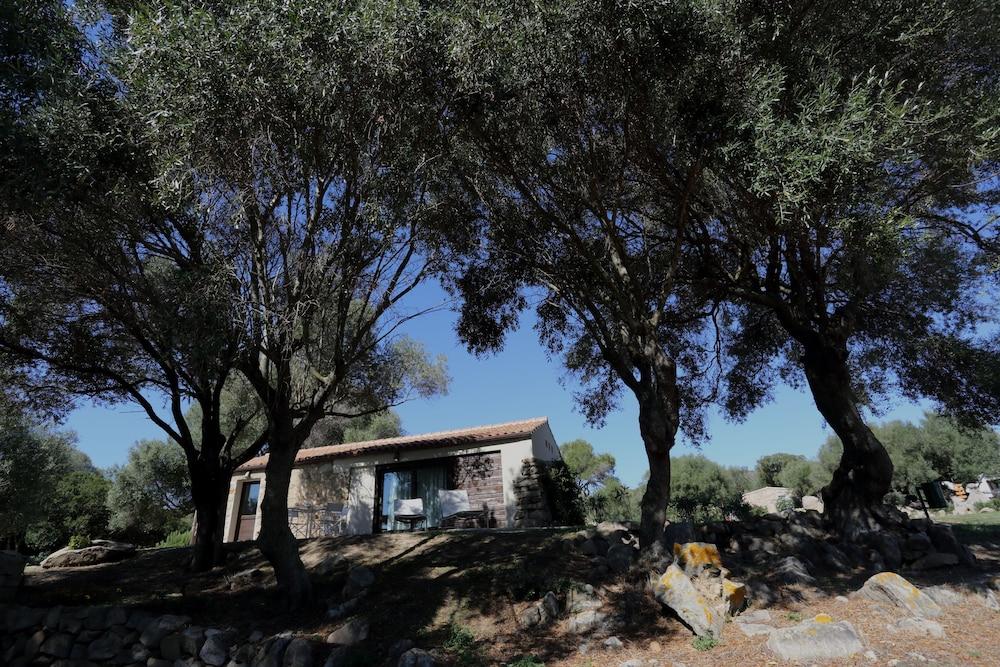 Liscia Country Relais Casa de hóspedes Sant'Antonio di Gallura Exterior foto