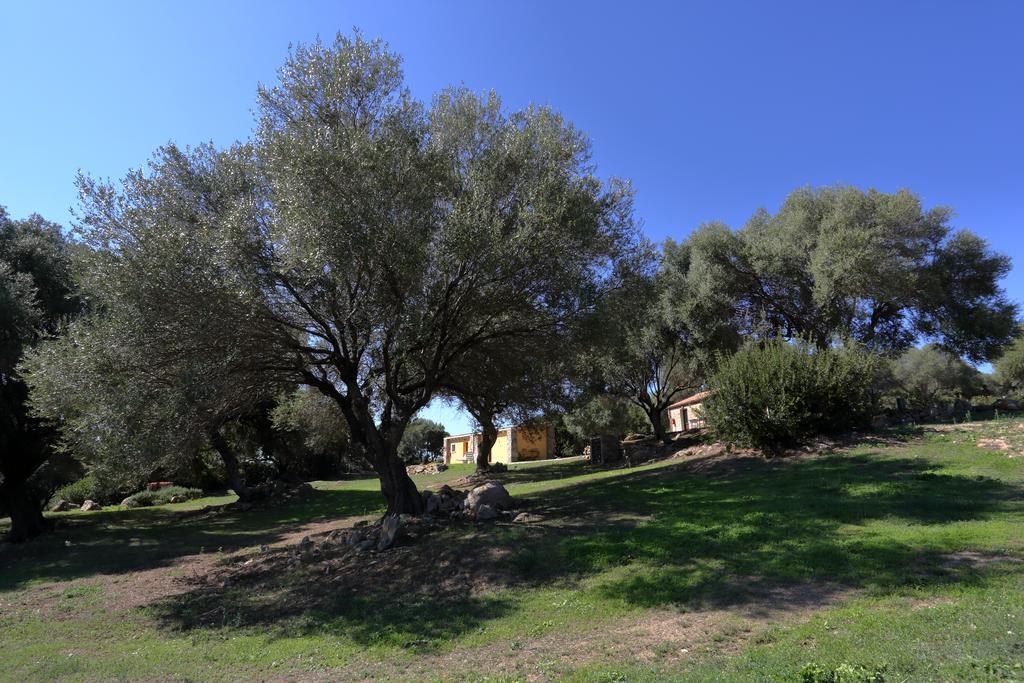 Liscia Country Relais Casa de hóspedes Sant'Antonio di Gallura Exterior foto