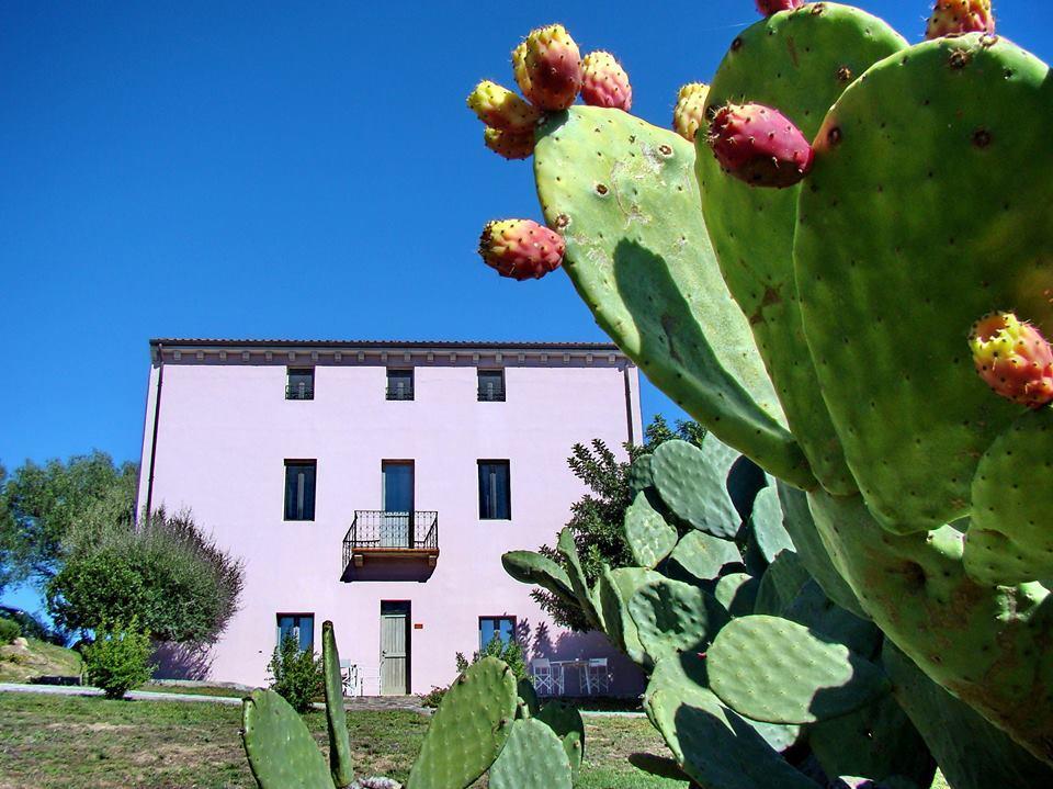 Liscia Country Relais Casa de hóspedes Sant'Antonio di Gallura Exterior foto